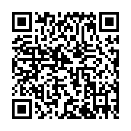 QR code for R241H