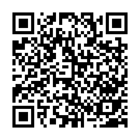 QR code for R263G