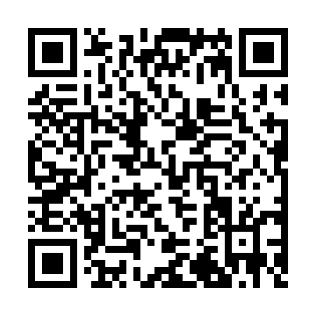 QR code for R273E