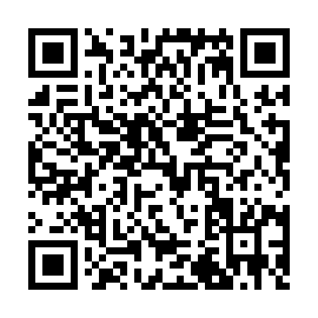 QR code for R281I