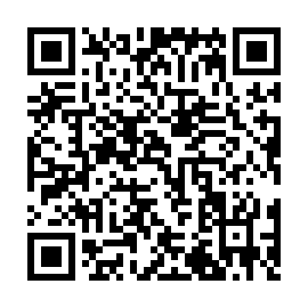 QR code for R291C