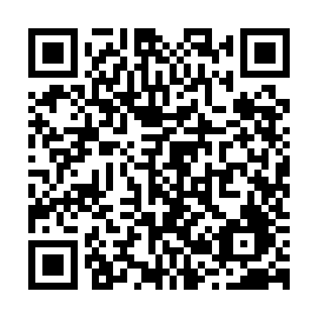 QR code for R291JF