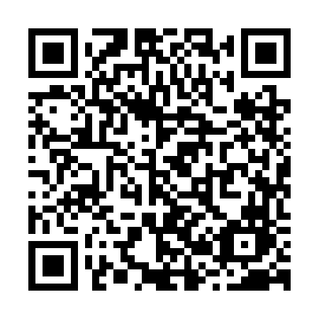 QR code for plate R29 3FN