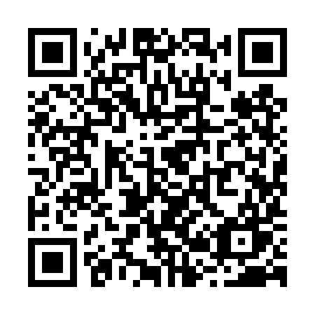 QR code for plate R29 4YW
