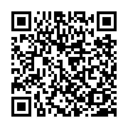 QR code for plate R29 7KP