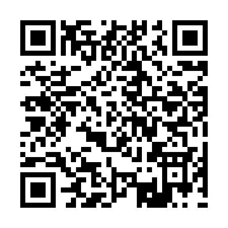 QR code for R308S
