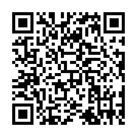 QR code for R312G