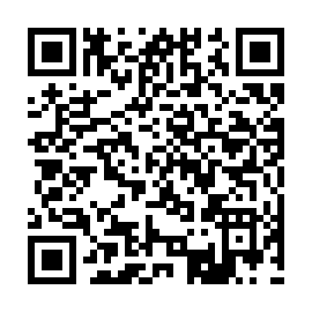QR code for R313D