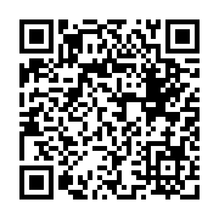QR code for R316P