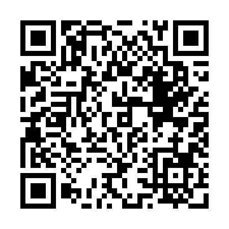 QR code for R317X
