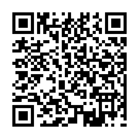 QR code for R333I
