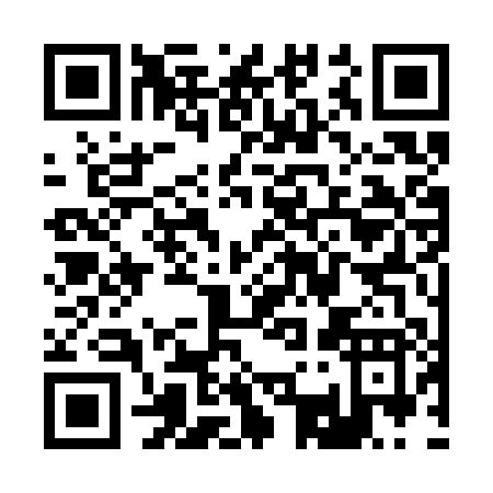 QR code for R333P