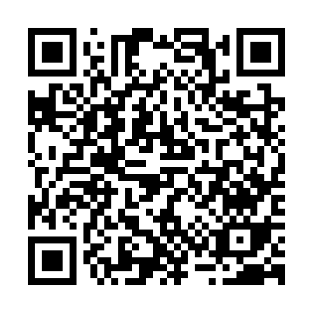 QR code for R333S