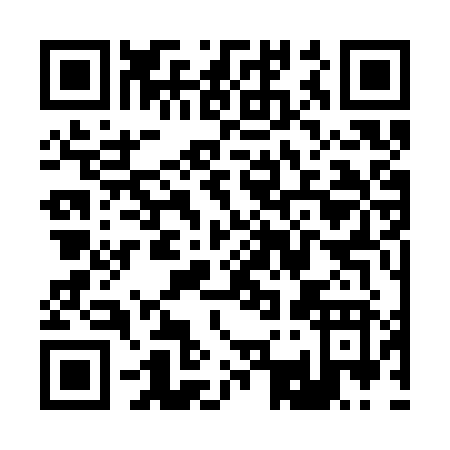 QR code for R333Z