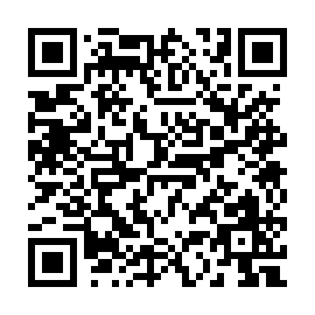 QR code for R334Q