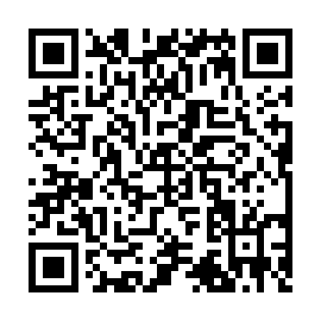 QR code for R335E