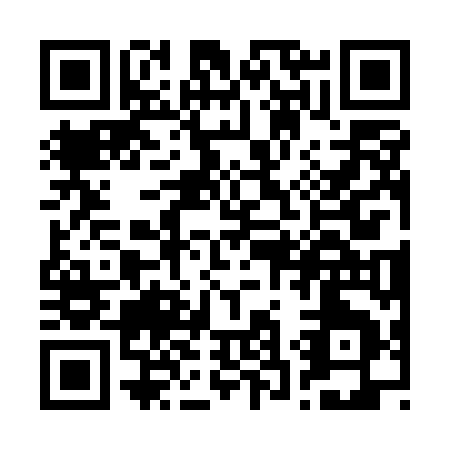 QR code for R335M