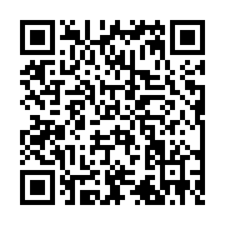 QR code for R335P