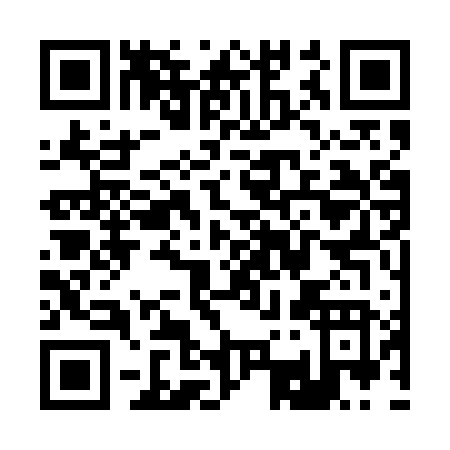 QR code for R335V