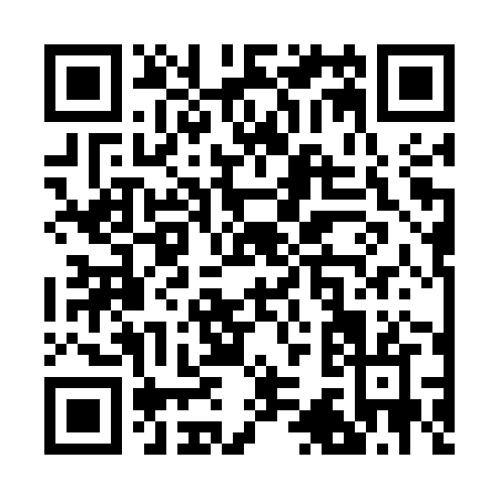 QR code for R335Z