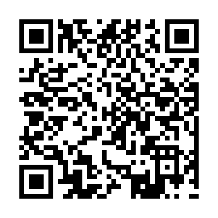 QR code for R336N