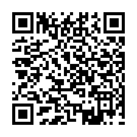 QR code for R352P