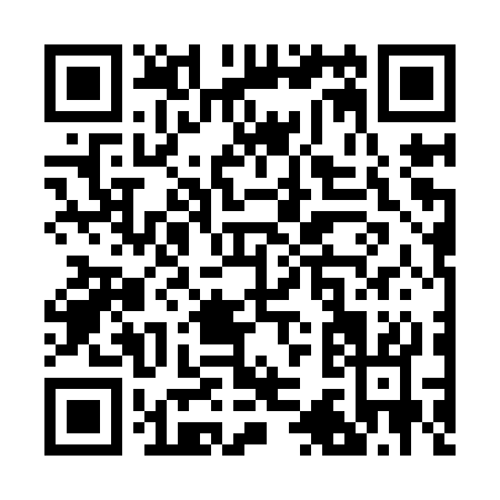 QR code for R379S