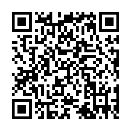 QR code for R381G