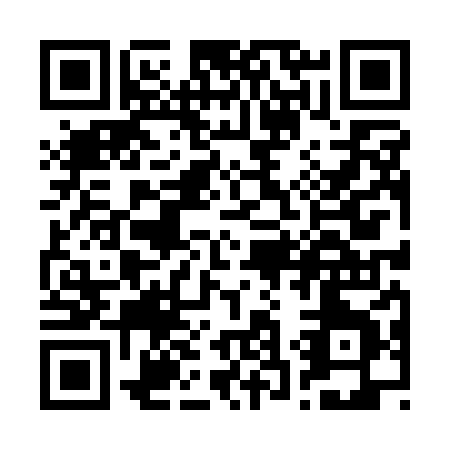 QR code for R381H