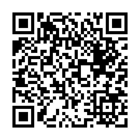 QR code for R381N