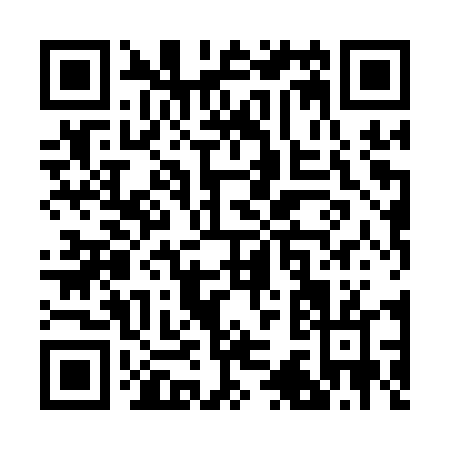 QR code for R381T