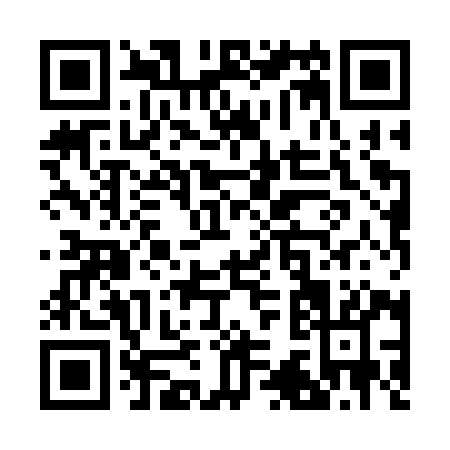QR code for R383Y