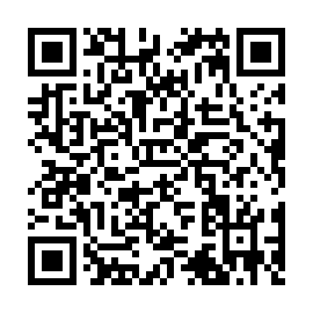 QR code for R384G