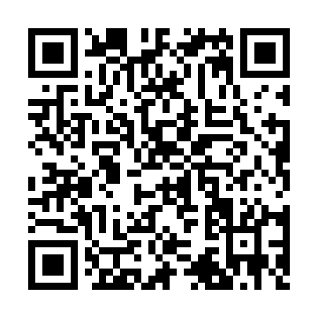 QR code for R386A