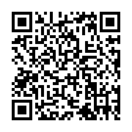 QR code for R389L
