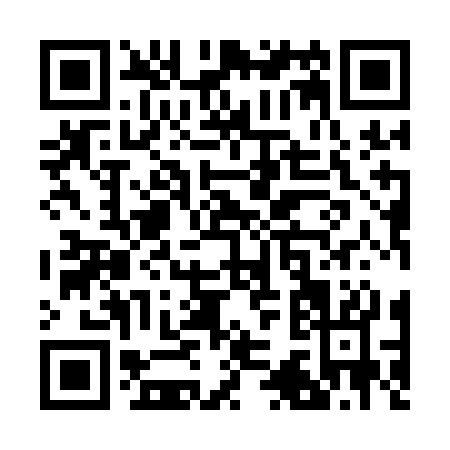 QR code for R391C
