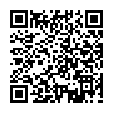 QR code for R393B