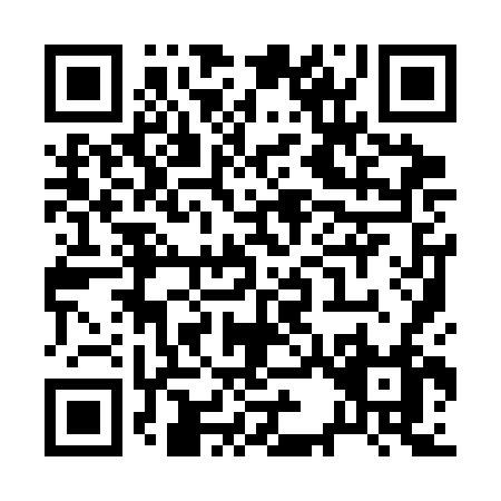 QR code for R393F