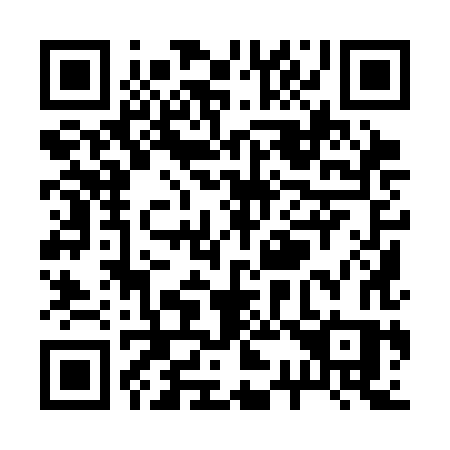 QR code for R393HS