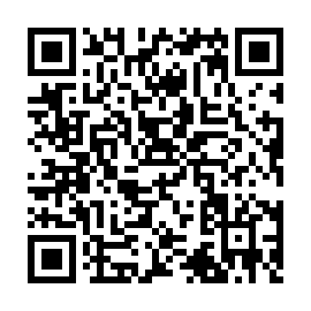 QR code for R396H