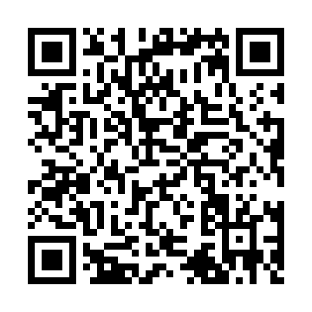 QR code for R397L