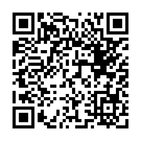 QR code for R398P