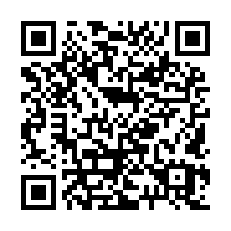 QR code for R399LU