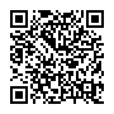 QR code for plate R41 0BI