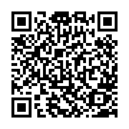 QR code for plate R41 0LZ
