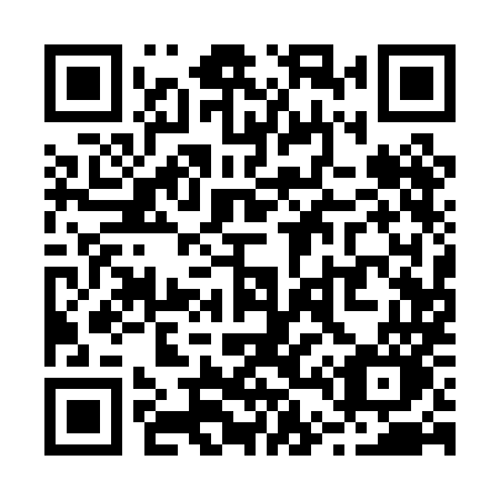 QR code for plate R41 0MO