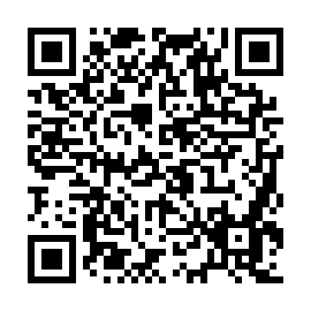 QR code for R411O