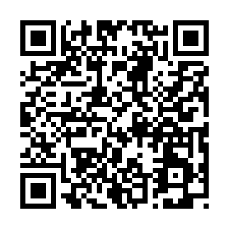 QR code for R411V