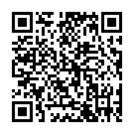 QR code for R413S