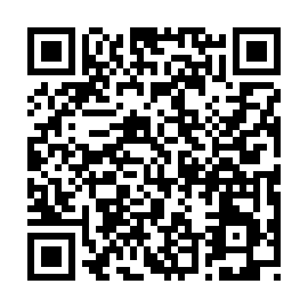 QR code for R413V